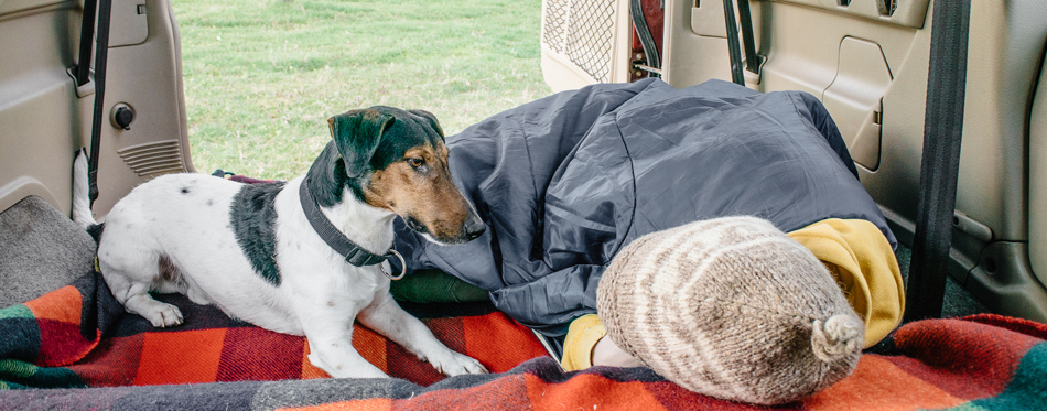 dog camping with a girl