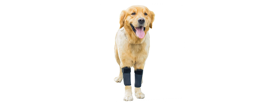 GNIKS Dog Front Leg Brace