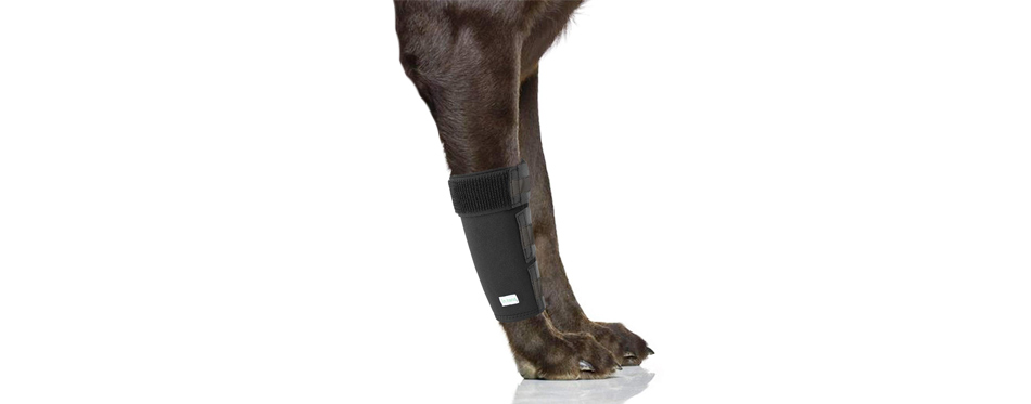 IN HAND Dog Leg Brace