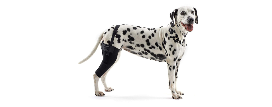 Kruuse Rehab Dog Knee Brace
