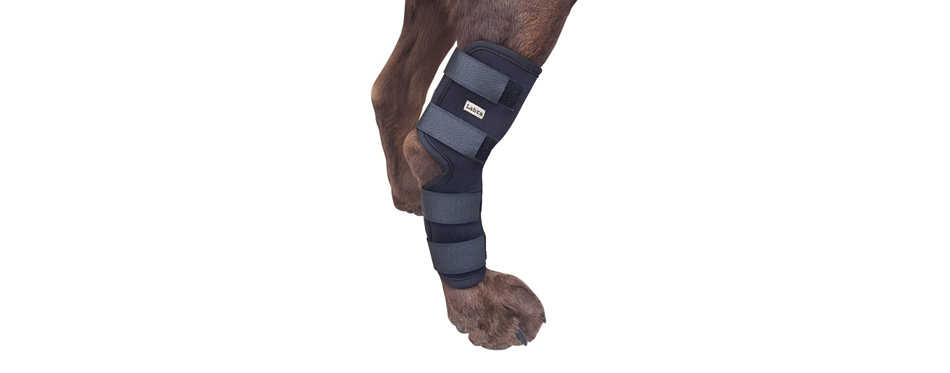 Labra Dog Knee Braces 