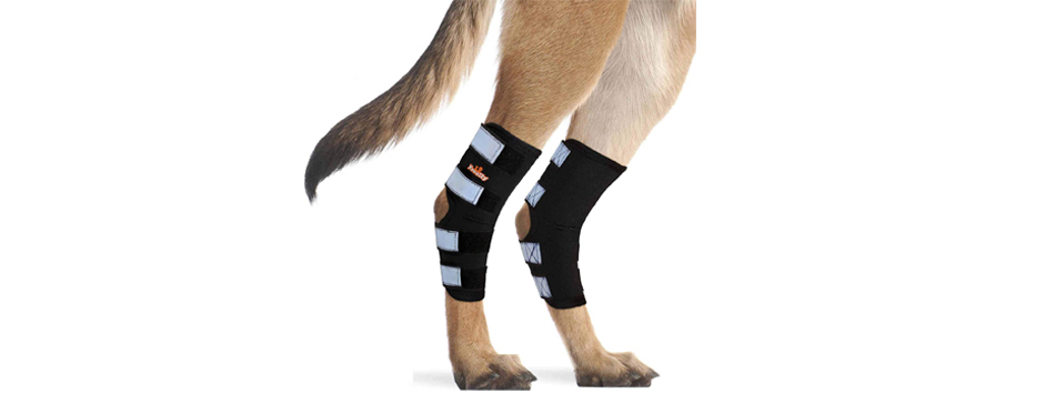 NeoAlly Rear Leg Dog Knee Braces