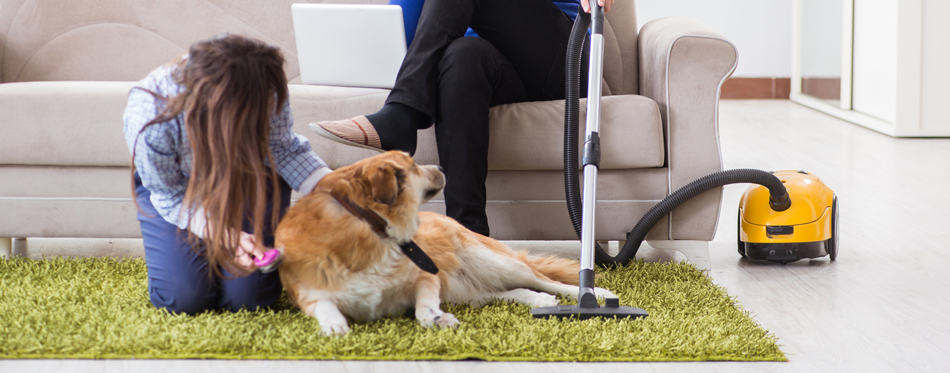 vacuum cleaner for pet hair