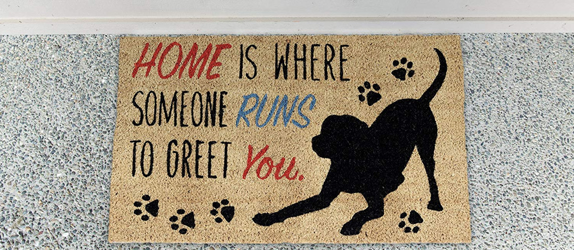 Best-Doormat-for-Dogs