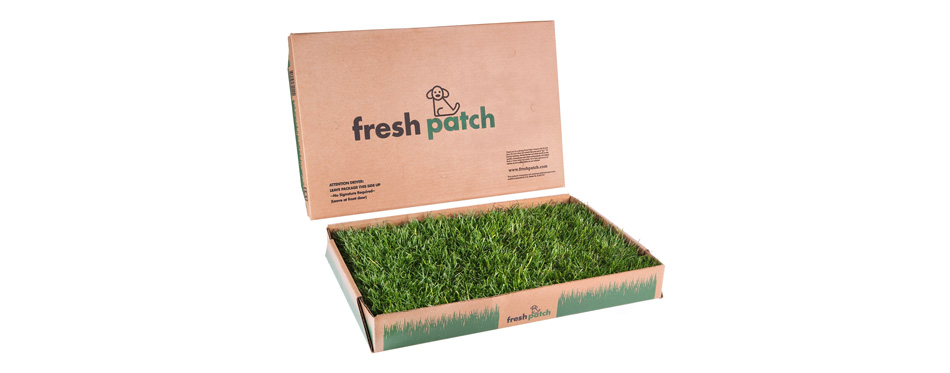 Best Natural: Fresh Patch Disposable Dog Potty with Real Grass