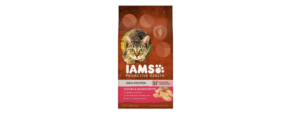 Best High-Protein: Iams ProActive Health Chicken & Salmon Dry Cat Food