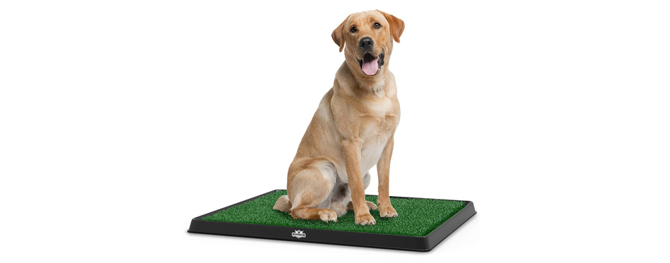 Best Overall: PETMAKER Artificial Grass Puppy Pad