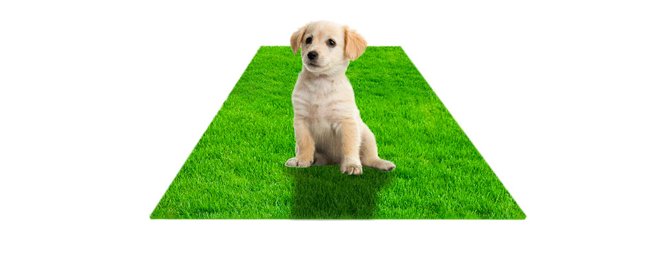 Best for Puppies: STARROAD-TIM Artificial Grass Rug Turf for Dogs