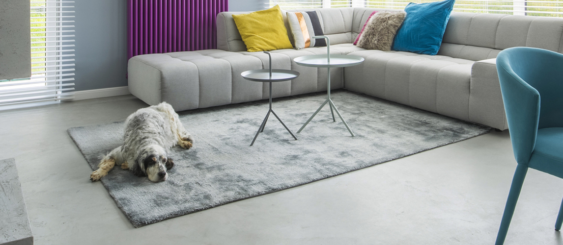 The Best Area Rugs For Dogs in 2022 | My Pet Needs That