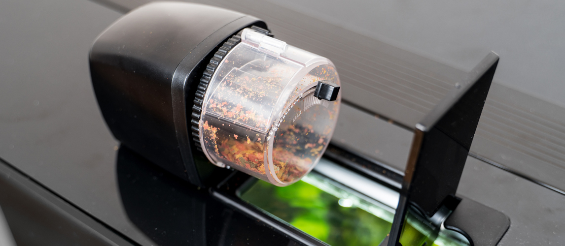 best-automatic-fish-feeder