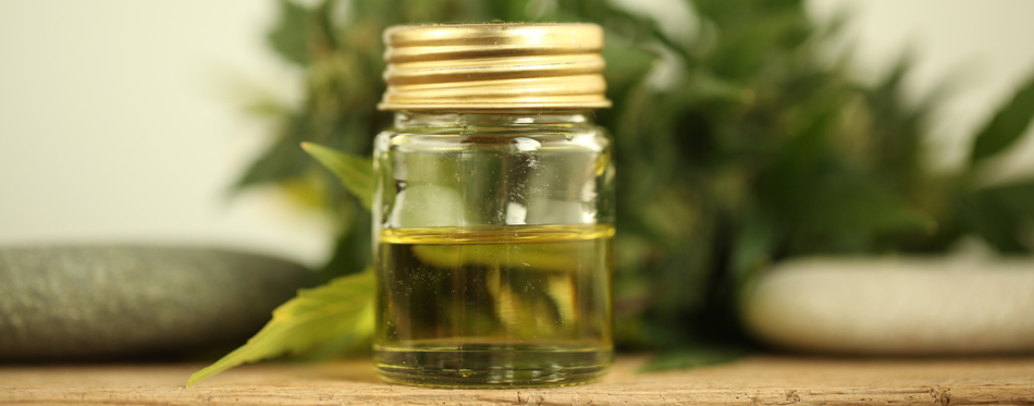 cbd dogs oil oild benefits