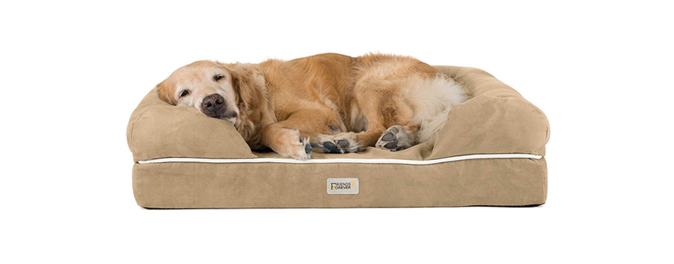 Friends Forever Orthopedic Dog Bed