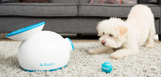 ifetch price