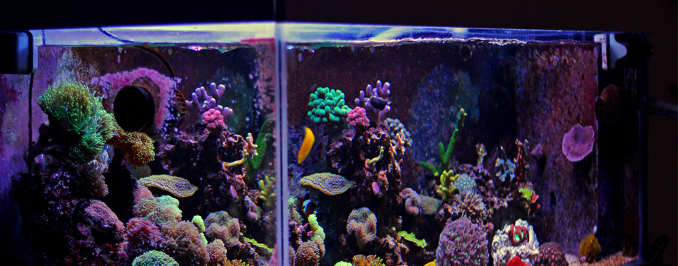 led aquarium hood