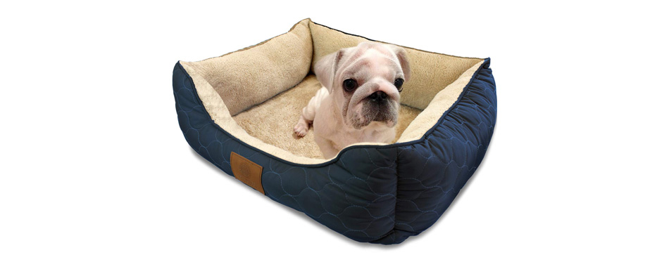 American Kennel Club Orthopedic Bolster Dog Bed
