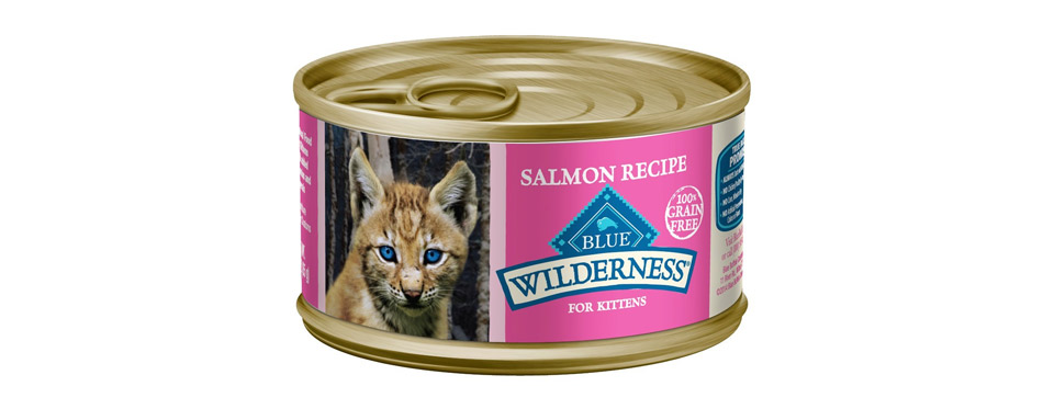 Blue Buffalo Wilderness Kitten Salmon Canned Food