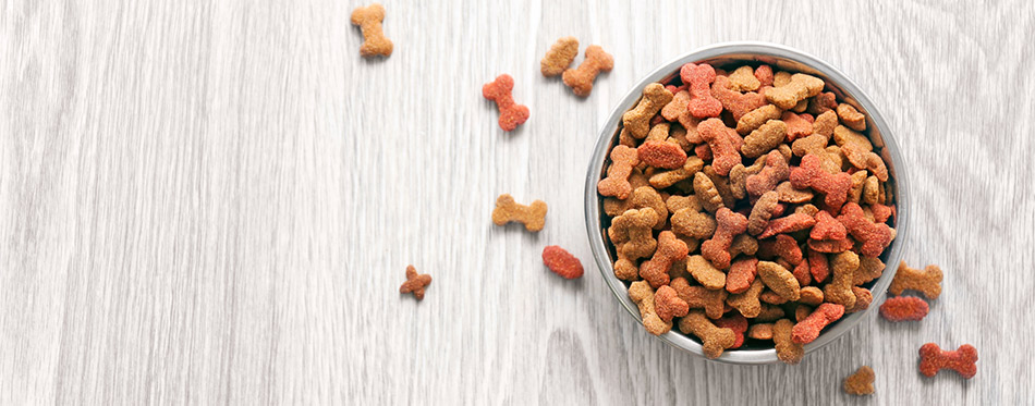dog food for diabetic dogs