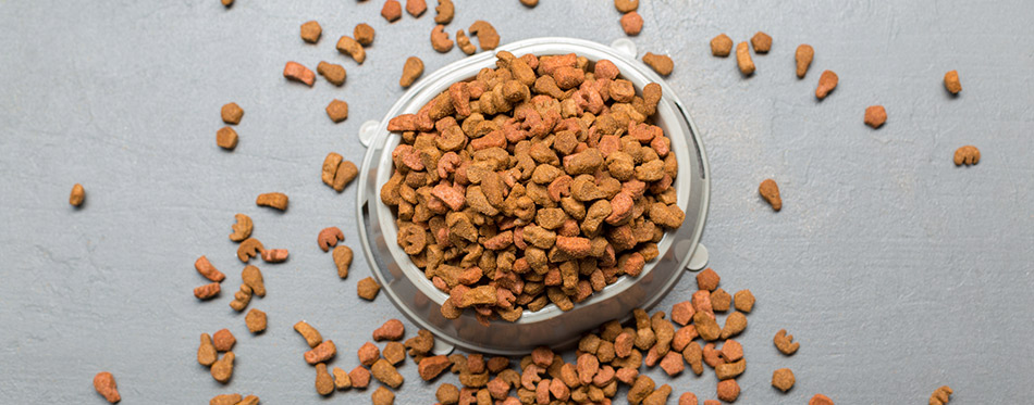 Dried dog food