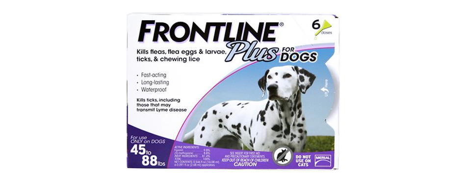 Best Fast-Acting: Frontline Plus for Dogs