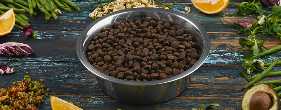 Organic Dog Food in the Bowl