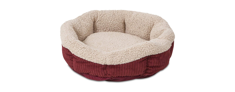 Best for Shy Cats: Aspen Pet Self-Warming Bolstered Cat Bed