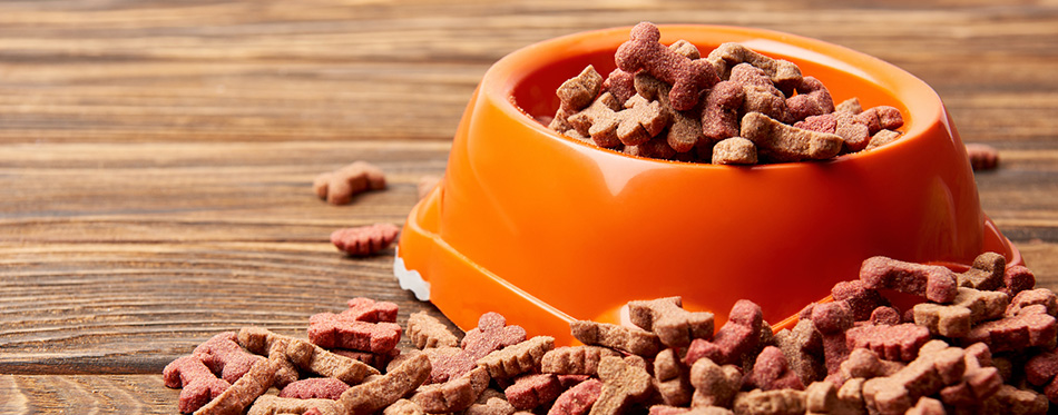 plastic bowl with pile of dog food