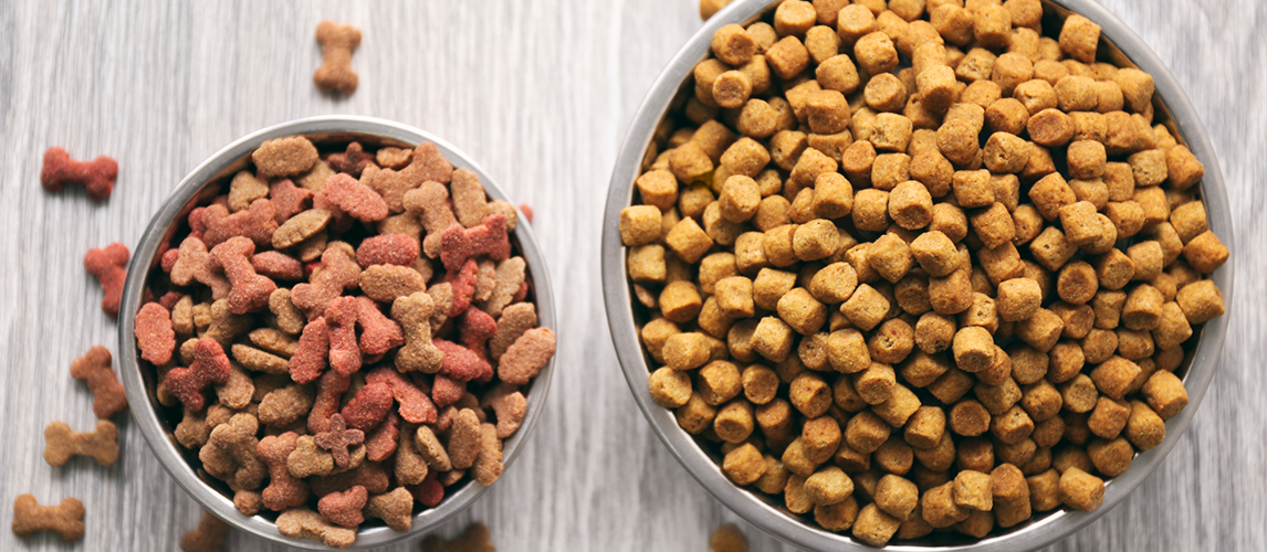 The Best Dehydrated Dog Food (Review 