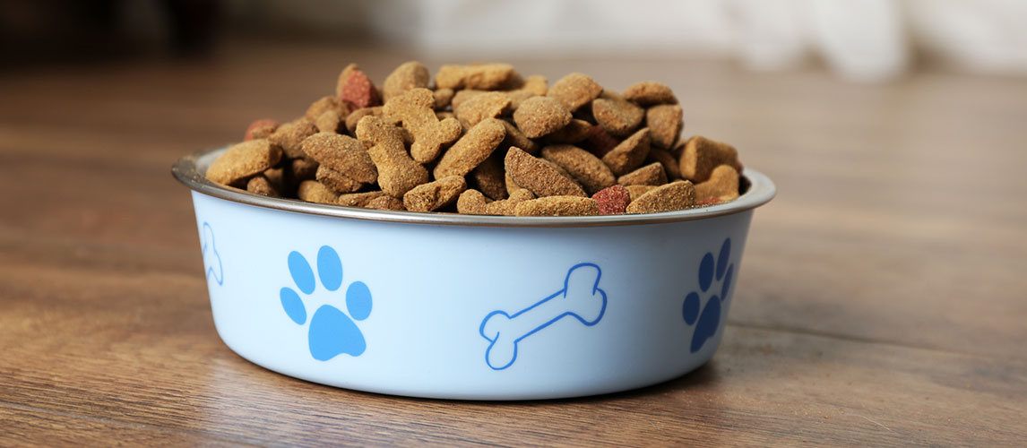 Best-Low-Sodium-Dog-Food