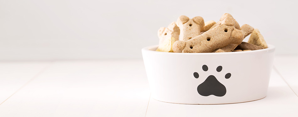 Dog treats on a white bowl