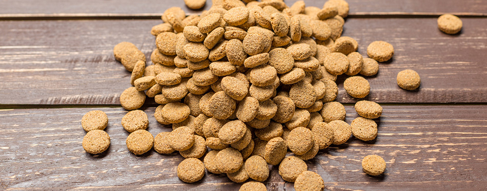 Dried food for dogs