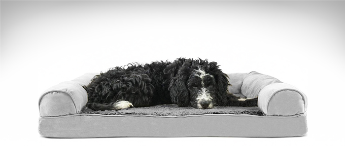 Furhaven-Orthopedic-Dog-Bed-featured