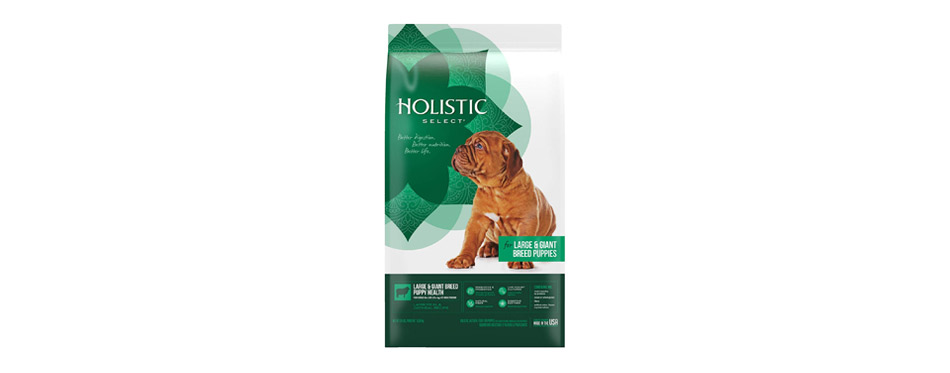 Best Holistic: Holistic Select Natural Dry Dog Food