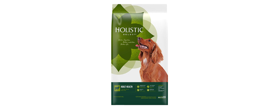 Best Holistic: Holistic Select Adult Health Lamb Meal Dry Dog Food