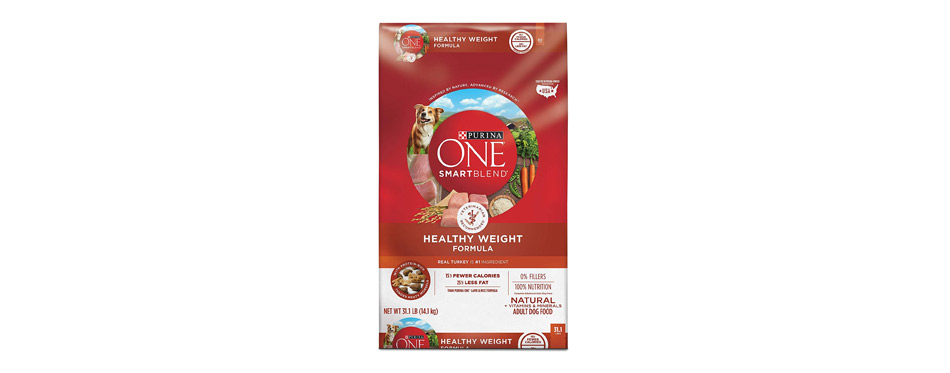 Purina ONE SmartBlend Natural Sensitive Systems Dry Food