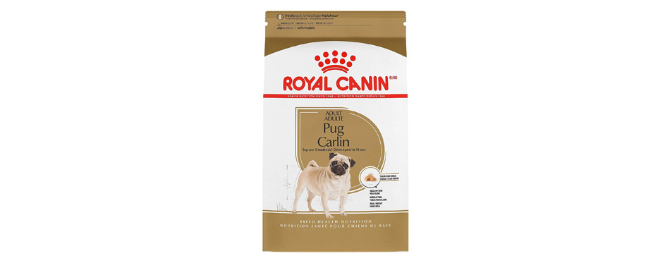 Best Overall: Royal Canin Pug Carlin Adult Dry Dog Food