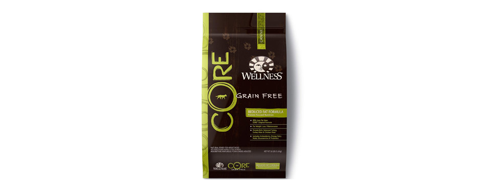 Wellness Core Natural Grain Free Dry Dog Food 