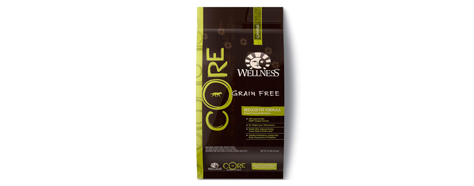 Wellness Core Natural Grain Free Dry Dog Food for Labs