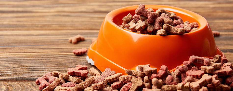 plastic bowl with pile of dog food