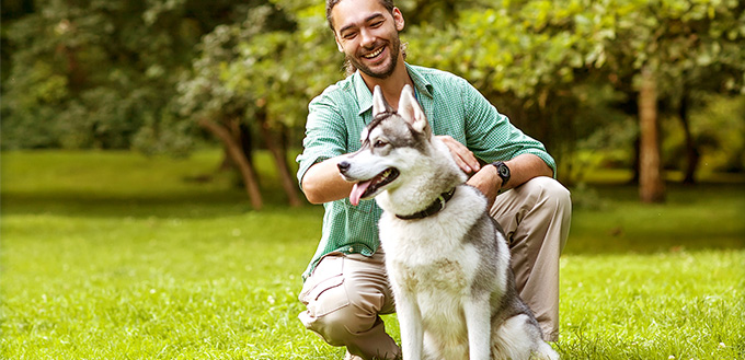 Man and Husky dog walk in the park