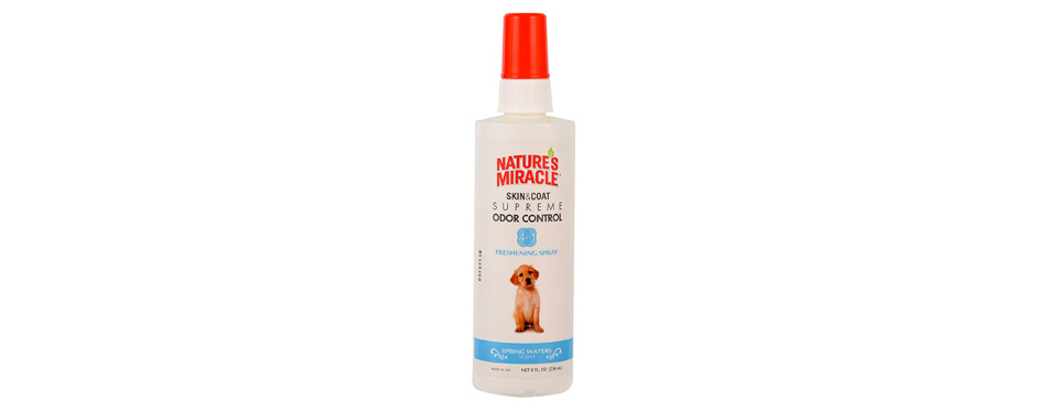 best puppy cologne