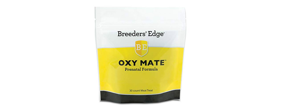 fish oil for pregnant dogs