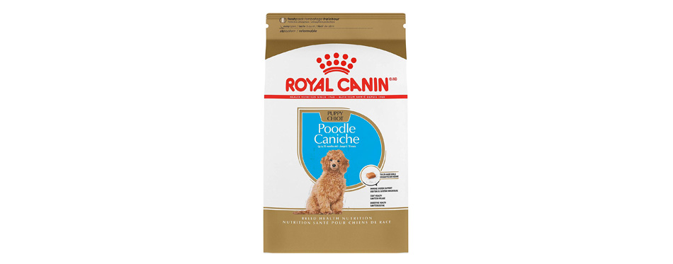 Royal Canin Breed Health Nutrition Poodle Puppy Food