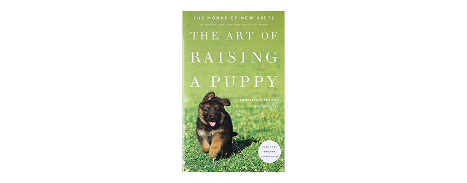 The Art of Raising a Puppy