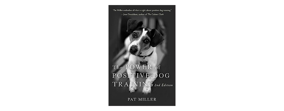 The Power of Positive Dog Training