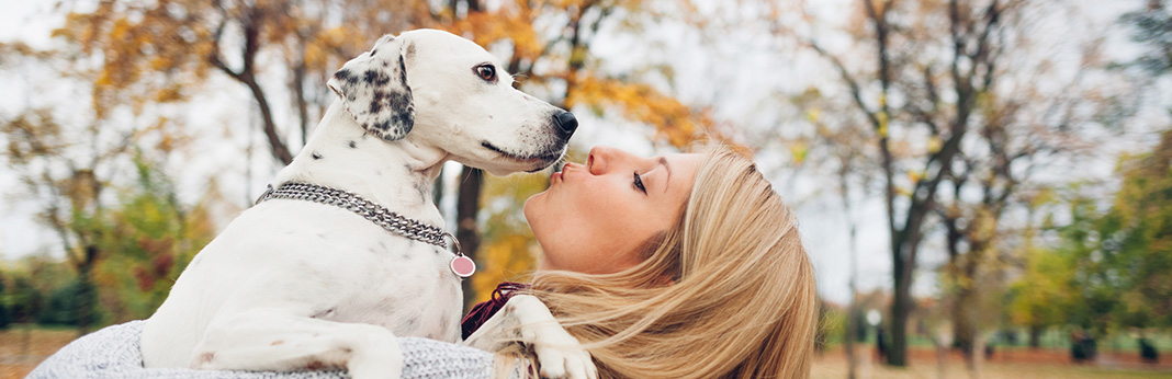 Do-Dogs-Remember-Their-Owners