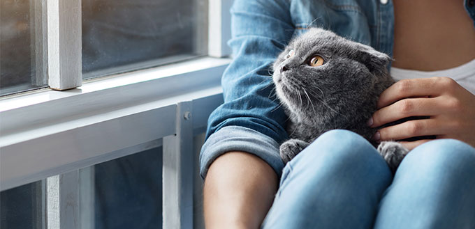 Owner holding a cat