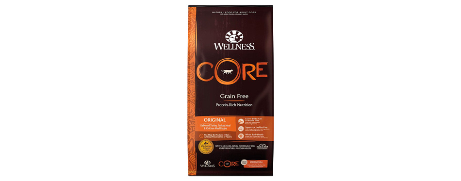 Best For Healthy Skin: Wellness CORE Grain-Free Original Deboned Turkey