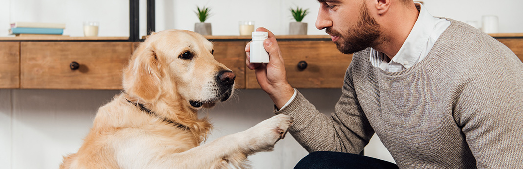 vitamin e for dogs uses & benefits