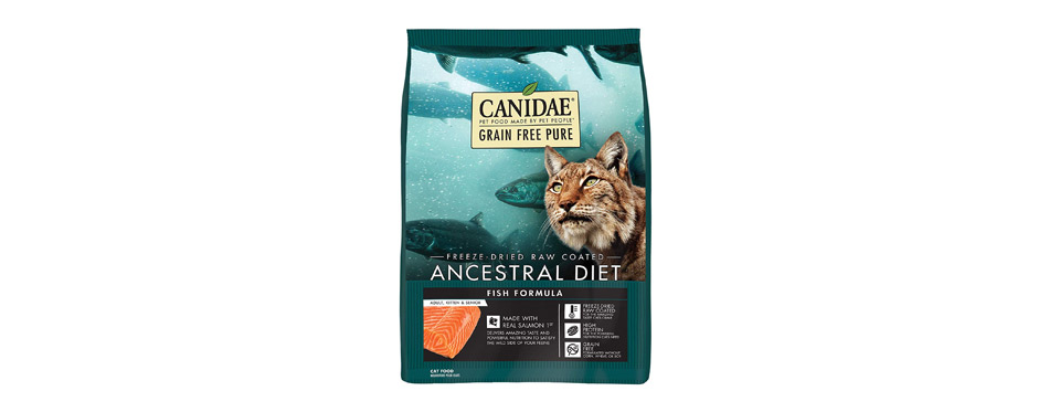 CANIDAE Grain-Free PURE Salmon Dry Cat Food