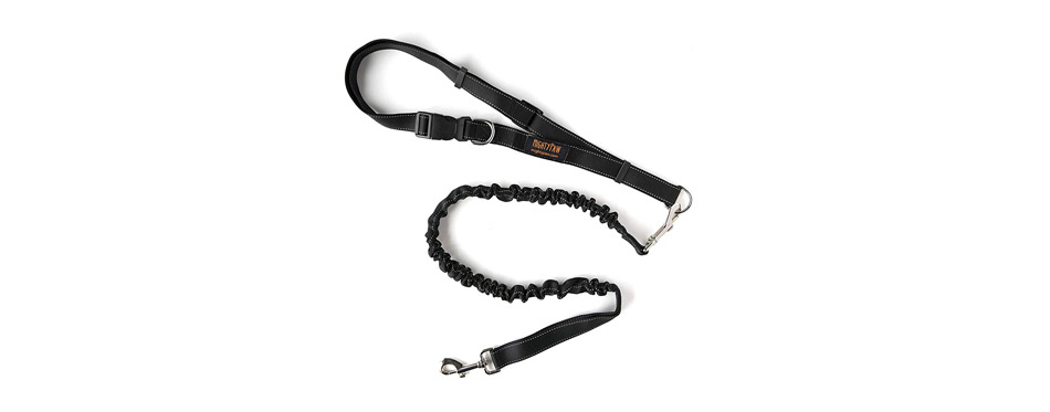 Mighty Paw BungeeX2 Nylon Double Dog Leash